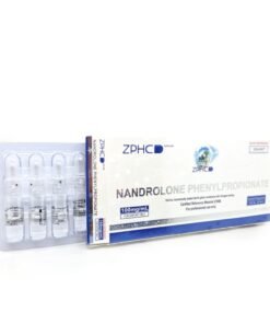 Nandrolone Phenylpropionate (NPP) ZPHC — 100 mg/ml (10 ampoules × 1 ml, 1 000 mg total)